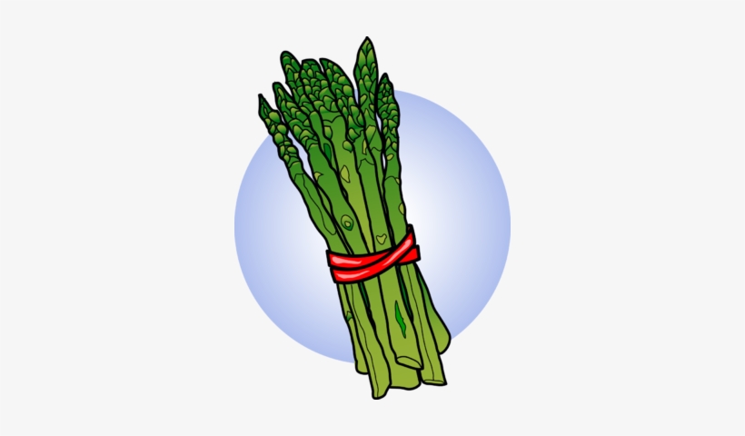 A fresh bundle of green asparagus tied with a red ribbon, set against a soft blue circular background.