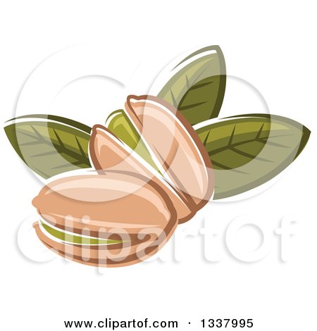 Illustration of three pistachios in shells with green leaves, stylized vector art.