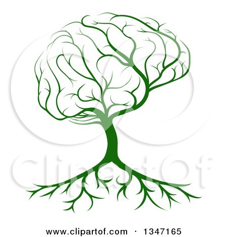 Green tree with brain-shaped canopy and visible roots, symbolizing growth, learning, and neural connections.