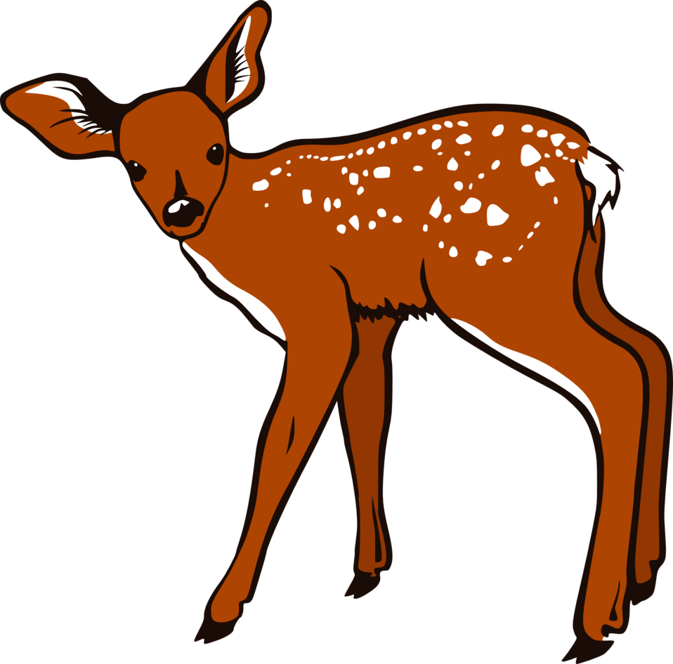 Cute Fawn Illustration - Free Clipart for Nature & Wildlife Projects