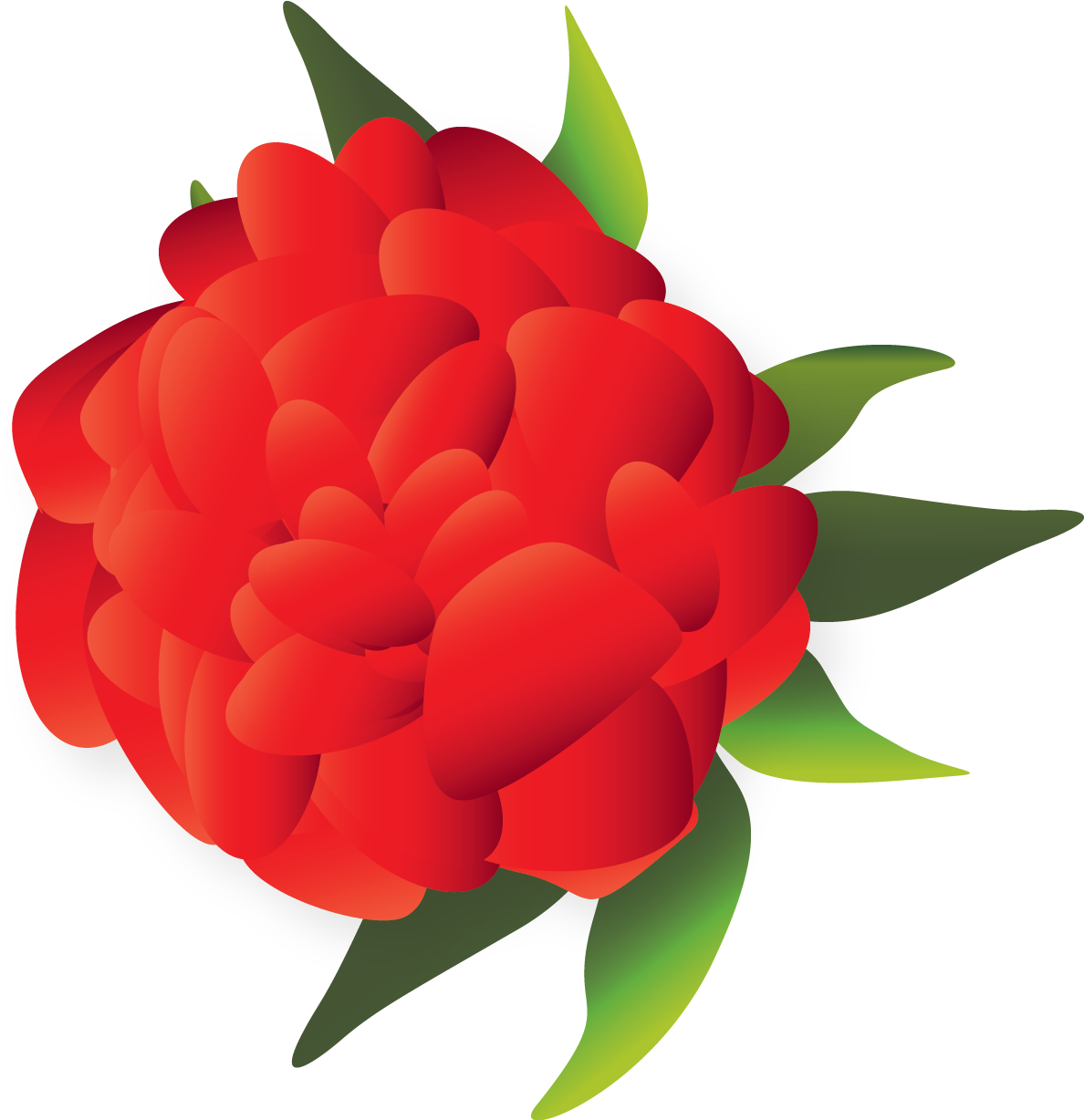 floral spanishs - Clip Art Library