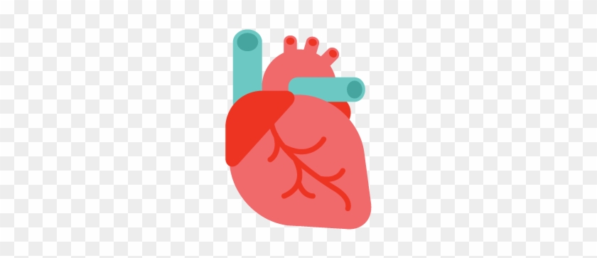 Illustrated human heart with major vessels and coronary arteries on transparent background.