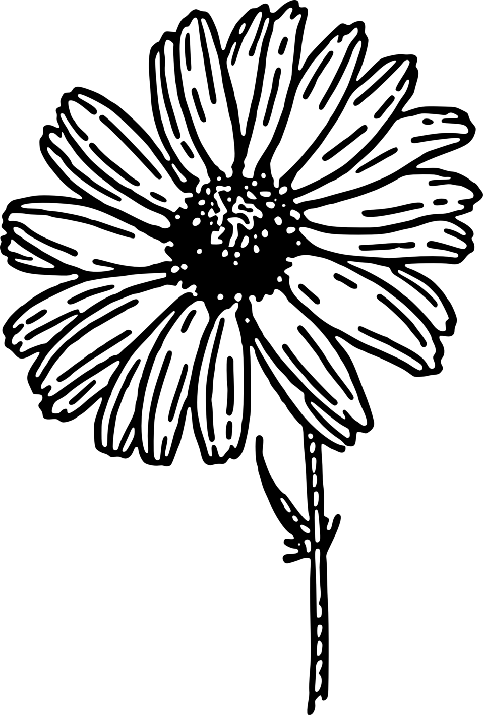 Blank image placeholder with no visible content.