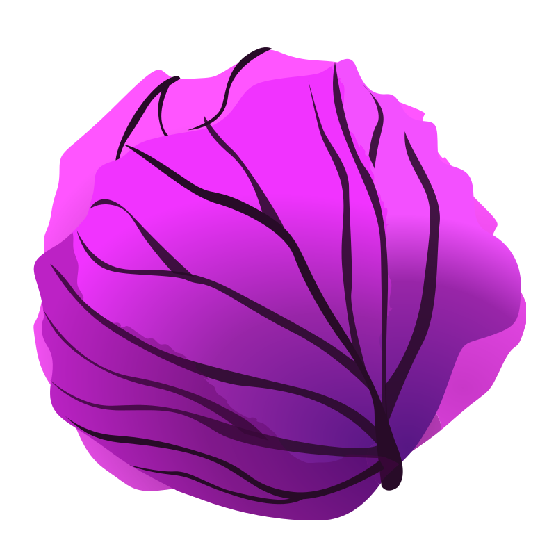 Vibrant purple cabbage illustration with layered leaves and gradient shading.