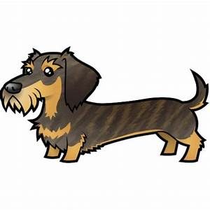 Cartoon illustration of a long-bodied, short-legged wire-haired dachshund with brown and black fur, expressive eyes, and a playful stance.