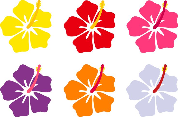 Six vibrant hibiscus flower illustrations in yellow, red, pink, purple, orange, and lavender on white background.