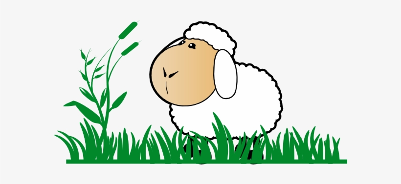 A cartoon sheep with fluffy white wool stands in green grass beside a tall plant with seed heads.