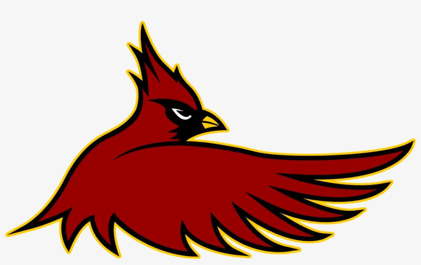 Stylized red cardinal in flight with yellow outline and sharp eye, representing strength and team spirit.