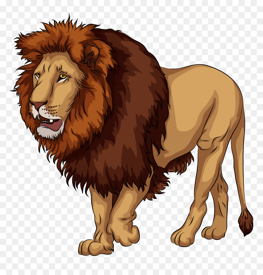 free lion clip art graphics