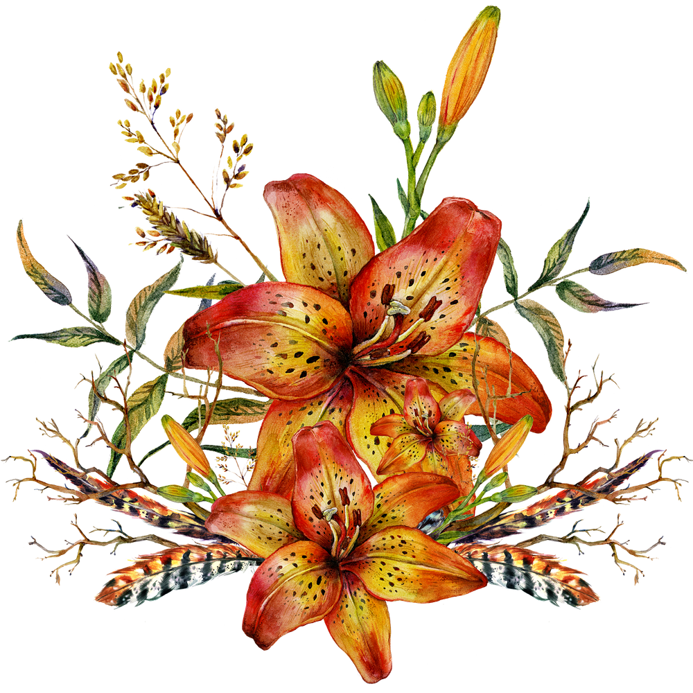 540+ Tiger Lily Illustrations, Royalty-Free Vector Graphics & Clip ...