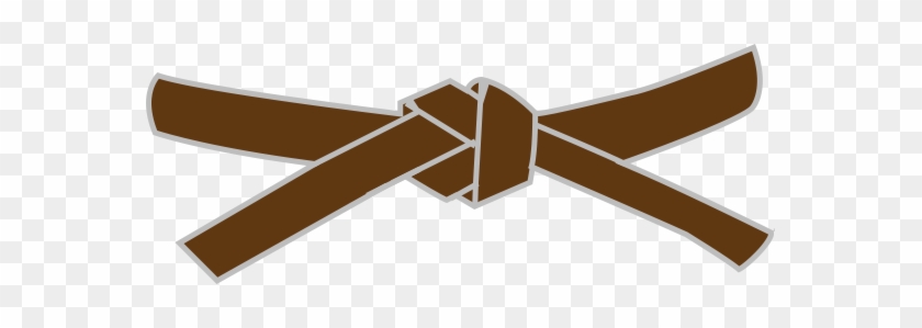 Brown martial arts belt tied in a standard knot on transparent background.
