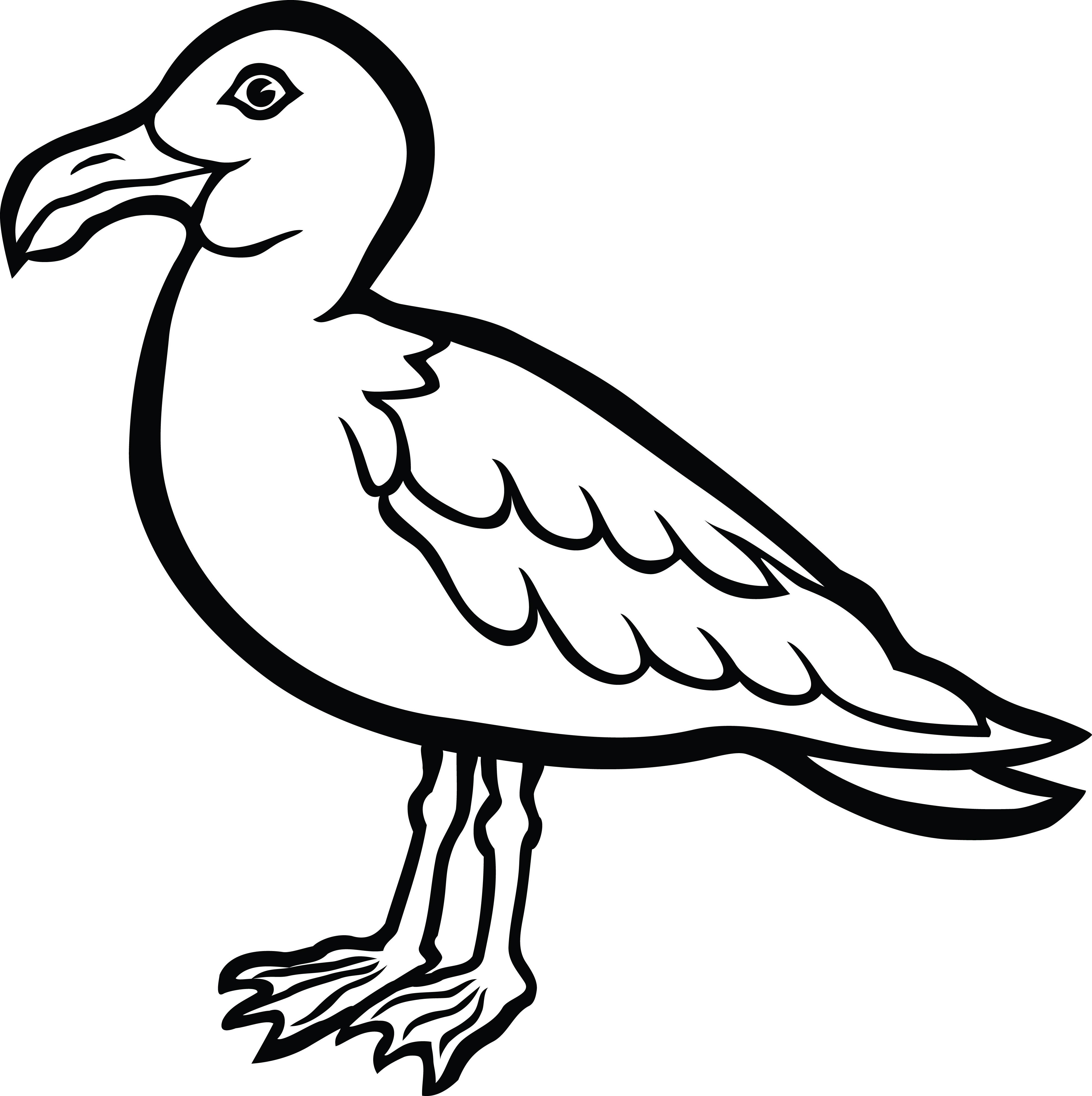 Stylized black-and-white line drawing of a standing bird with hooked beak, detailed eye, feathered wing, and webbed feet.