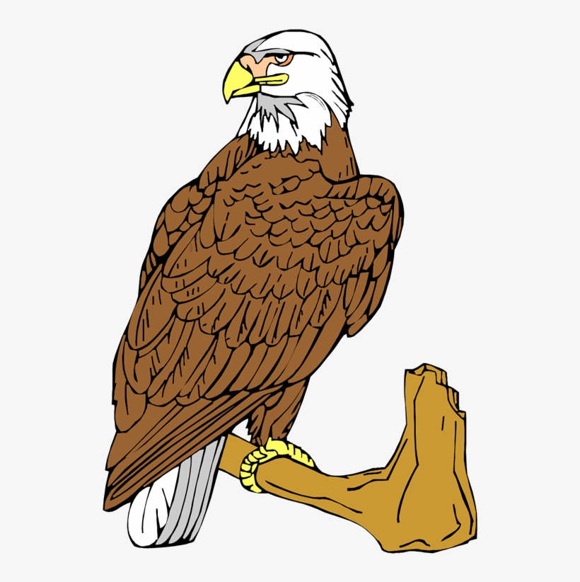 Bald Eagle Illustration - Majestic American Symbol in Artistic Style