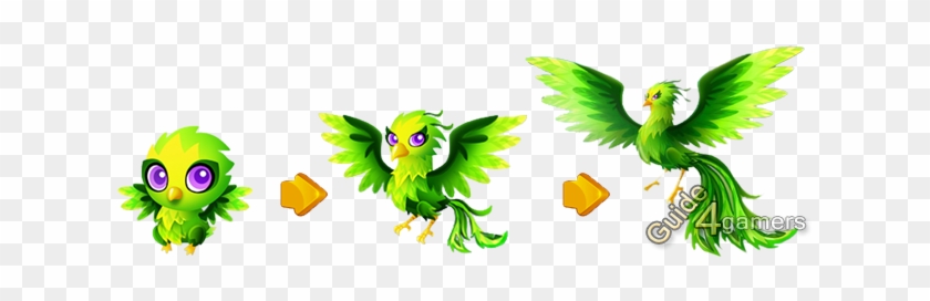 Three-stage evolution of a green mythical bird from chick to majestic phoenix-like form with glowing eyes and vibrant feathers.