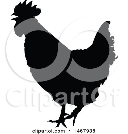 Silhouette of a rooster in black and gray tones, standing profile with comb and tail feathers visible.