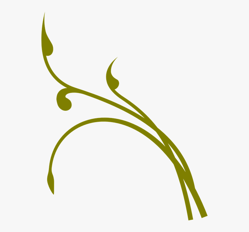 Olive-green stylized vine with elegant curves and leaf-like flourishes on white background.