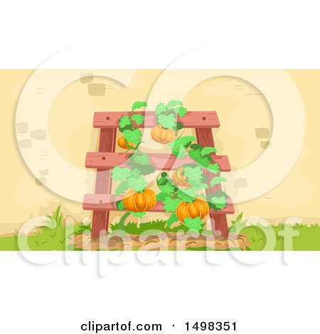 Pumpkin Trellis Garden Illustration - Vibrant Harvest Scene