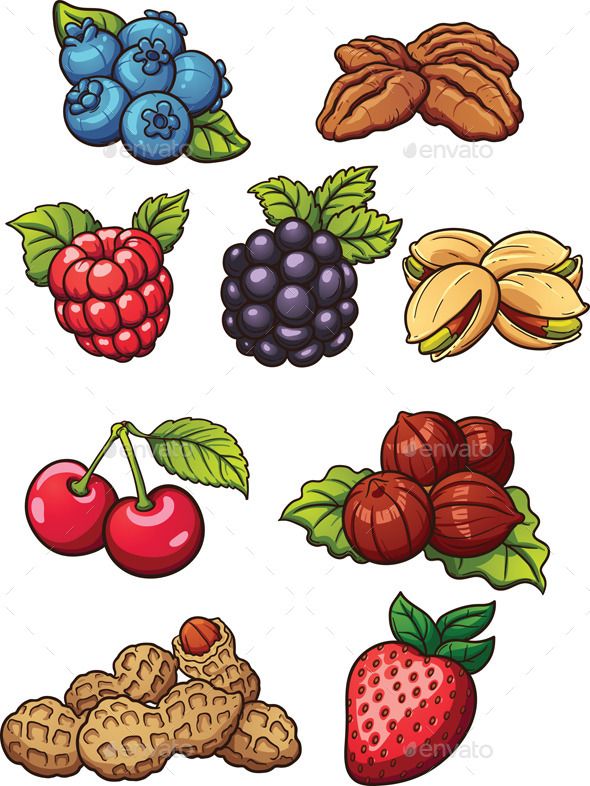 Colorful cartoon-style illustration of berries and nuts including blueberries, raspberries, cherries, strawberries, walnuts, pistachios, hazelnuts, and peanuts.