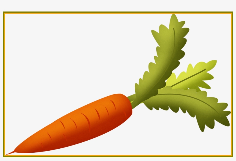 Bright orange carrot with green leafy top, illustrated in clean vector style on white background.