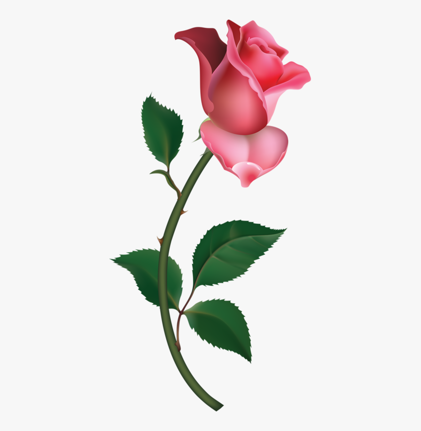 small roses - Clip Art Library