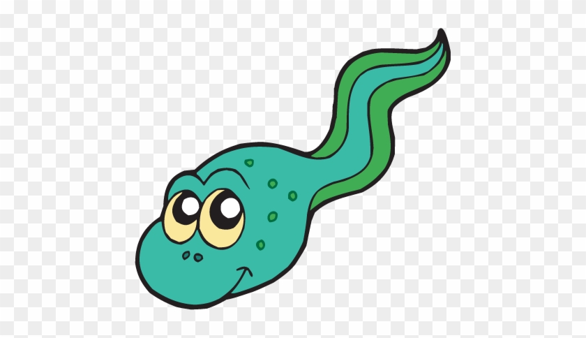 tadpoles