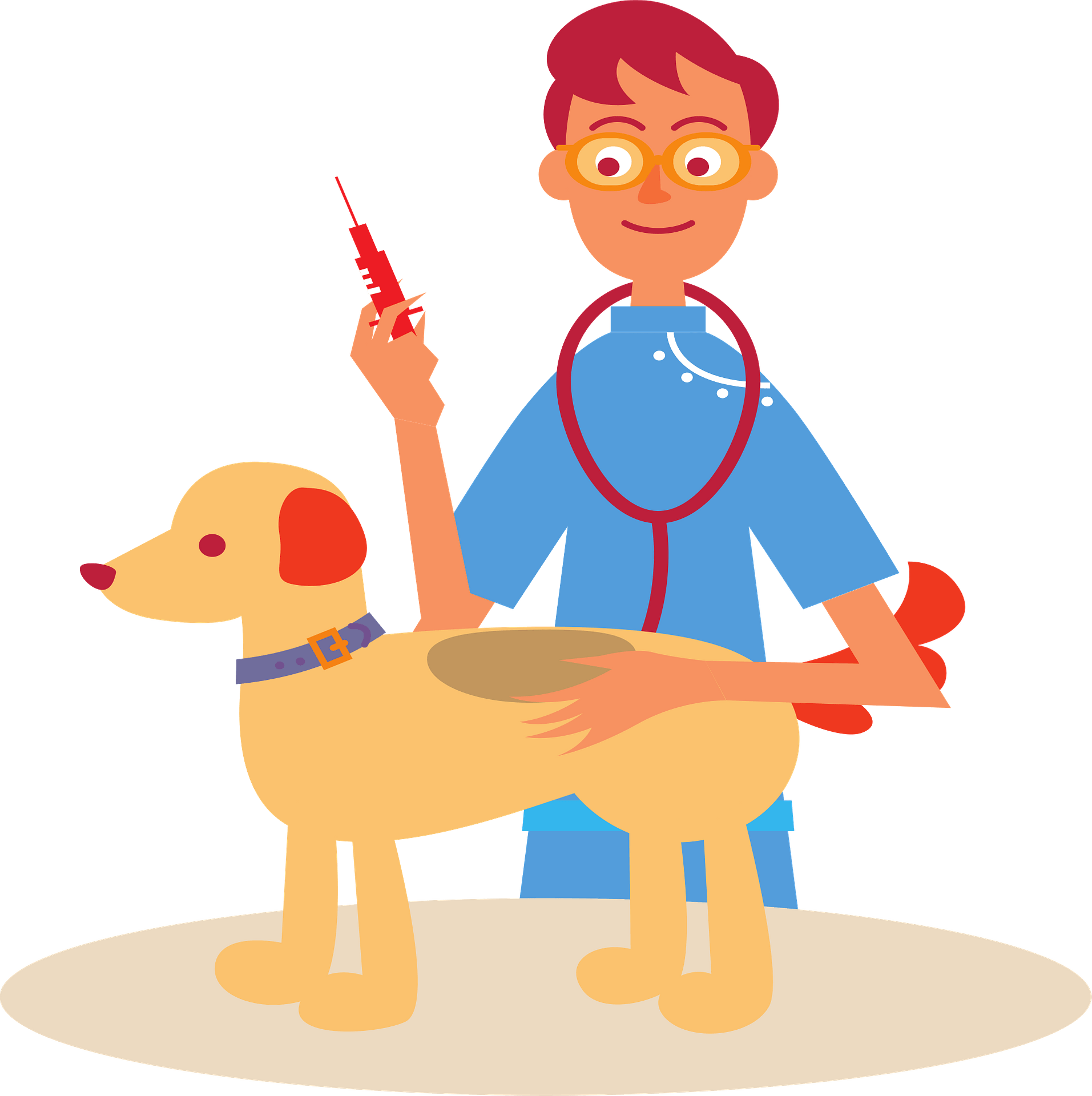 Vetenarians 3683268 Clipart Library Vetenarians 3683268 Clipart Library