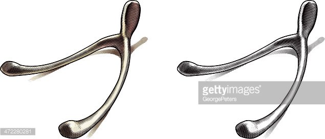 Wishbone Stock Illustration - Download Image Now - Wishbone