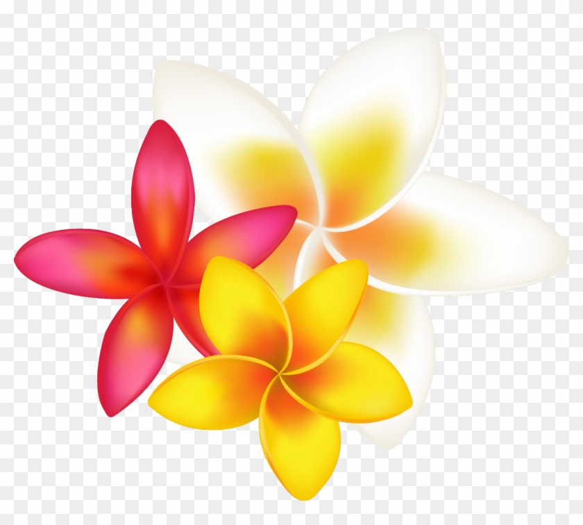 Aesthetic Flower PNG, Vector, PSD, and Clipart With Transparent