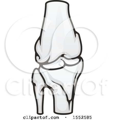 Illustration of a human knee joint showing femur, tibia, patella, and cartilage in grayscale anatomical style.