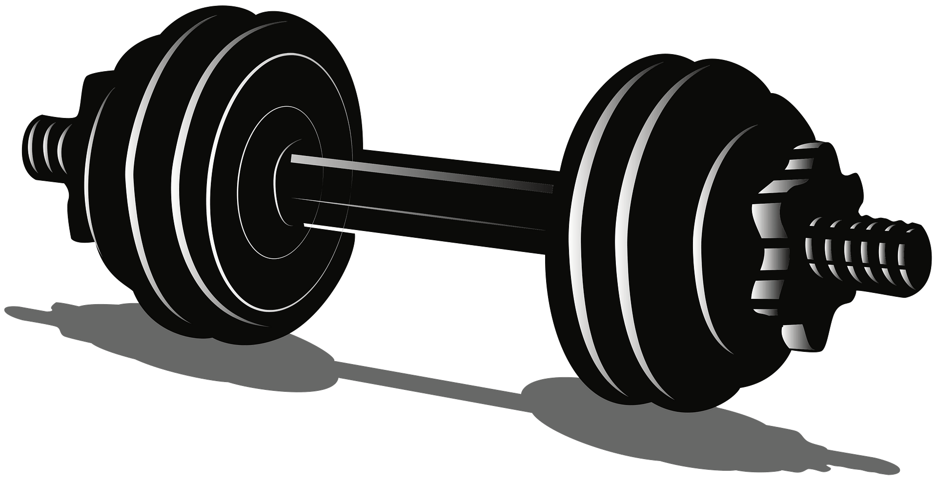 Free dumbbells, Download Free dumbbells png images, Free ClipArts on ...