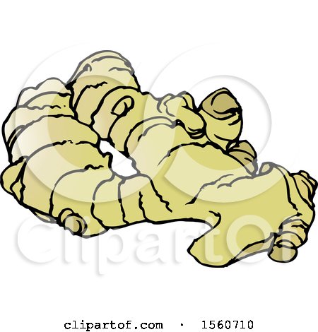 Illustration of a fresh ginger root with knobby, pale yellow rhizomes and textured skin.