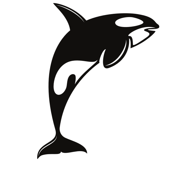 Silhouette of a leaping orca whale against a black background, stylized with iconic white markings.