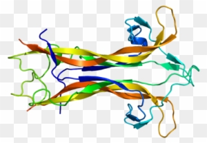 3D ribbon diagram of a protein structure showing alpha helices and beta sheets in multiple colors.