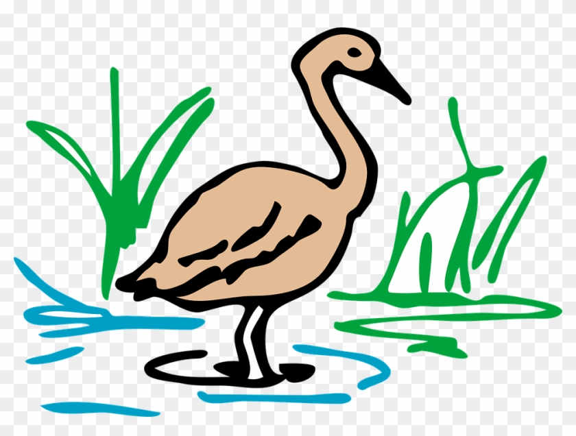 A cartoon-style sandhill crane standing in shallow water among green reeds.