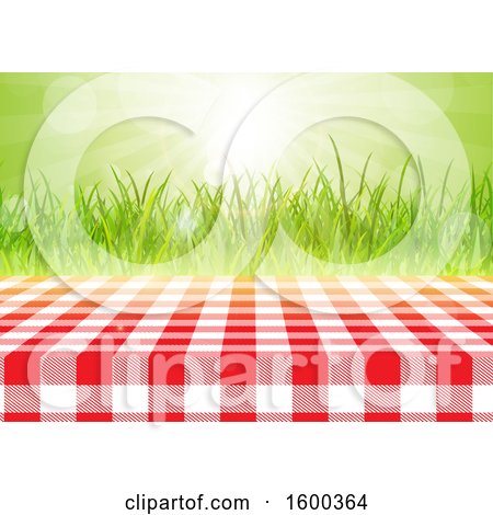 Red and white checkered picnic tablecloth on grassy field with soft bokeh background.