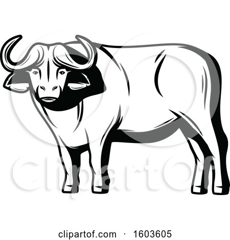 Black and white stylized illustration of a Cape buffalo standing in profile with large curved horns and muscular build.