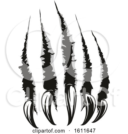 claws - Clip Art Library