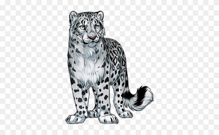 snow leopards - Clip Art Library