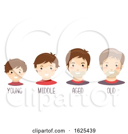 Four illustrated male faces showing life stages: young, middle, aged, old, each labeled clearly.