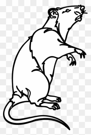 Black-and-white line drawing of a standing rat with raised front paws and open mouth, in cartoon style.