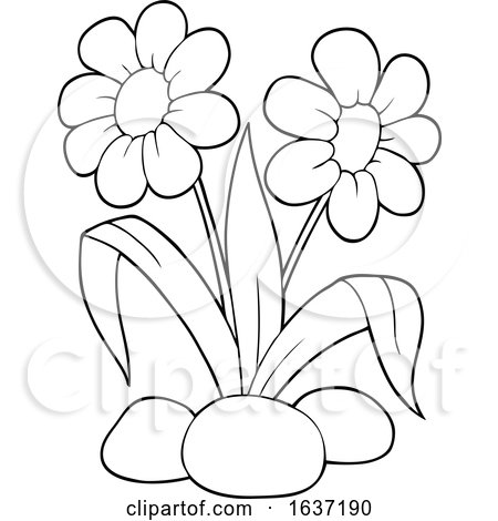 Black-and-white line drawing of two daisy-like flowers with stems, leaves, and rocks at the base-ideal for coloring pages.
