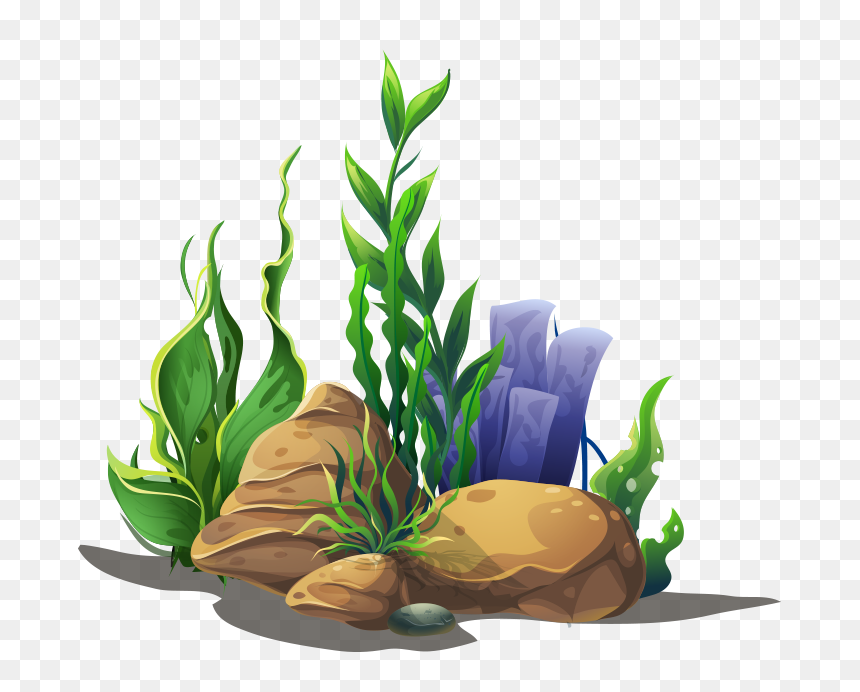 Underwater scene with green seaweed, brown rocks, and purple coral on transparent background.