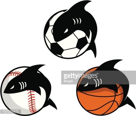 Shark Sports Mascot Logos - Creative Vector Illustrations