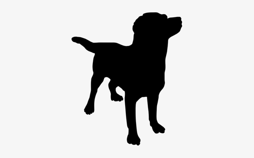 Black silhouette of a standing dog looking upward, tail slightly raised.