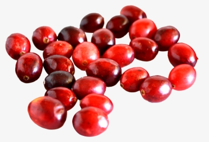 Fresh, glossy red cranberries scattered on a white background, showcasing their vibrant color and natural texture.