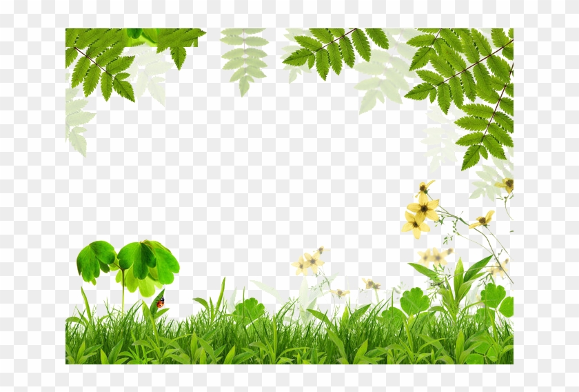 Green foliage clipart, Green leaf clip art, Summer spring leaves By  Pravokrugulnik