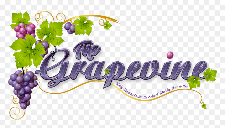 grapevine borders - Clip Art Library