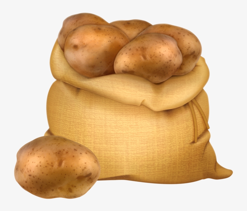 A burlap sack overflowing with fresh brown potatoes, one resting beside it on a white background.