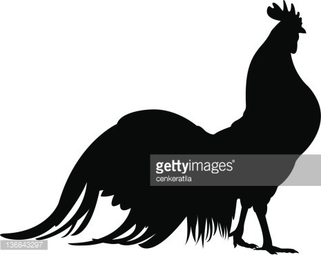 Black silhouette of a rooster standing in profile with prominent tail feathers and comb.