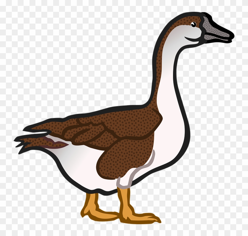 Cartoon illustration of a brown-and-white goose with orange legs, standing in profile on transparent background.